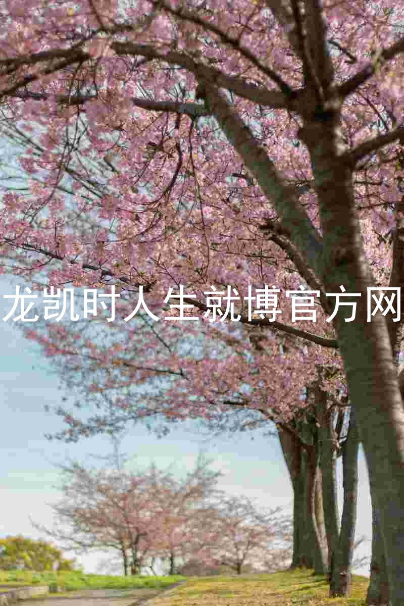 尊龙凯时人生就博官方网站