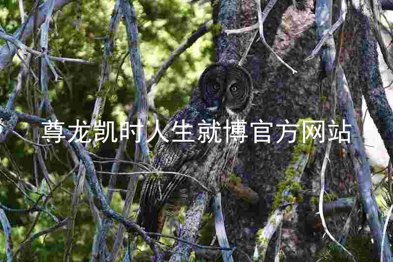 尊龙凯时人生就博官方网站