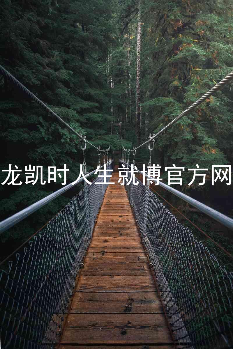 尊龙凯时人生就博官方网站